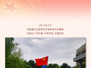 忠誠(chéng)向黨，行動(dòng)踐行——精大黨總支部組織開(kāi)展“義務(wù)